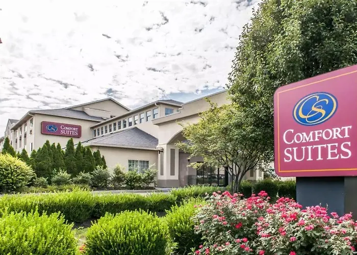 Comfort Expo Center Hotel 4*