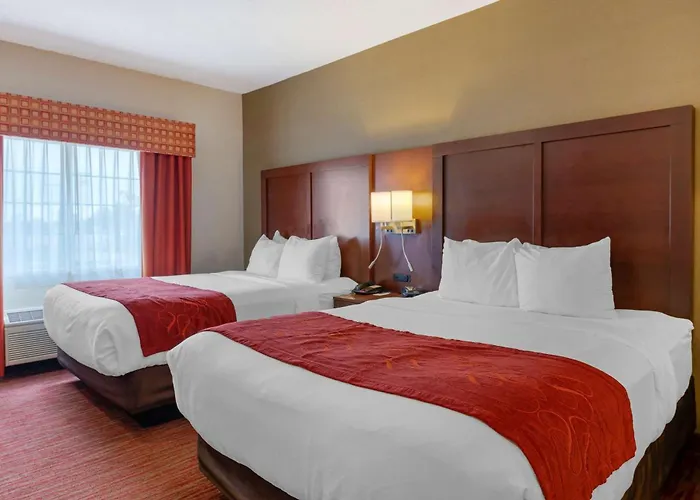 Hotel Comfort Expo Center 4*