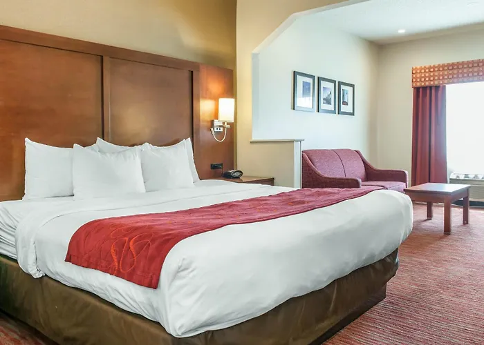 Hotel Comfort Expo Center 4*