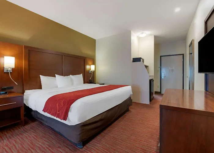 Hotel Comfort Expo Center