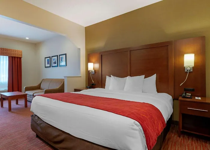Hotel Comfort Expo Center