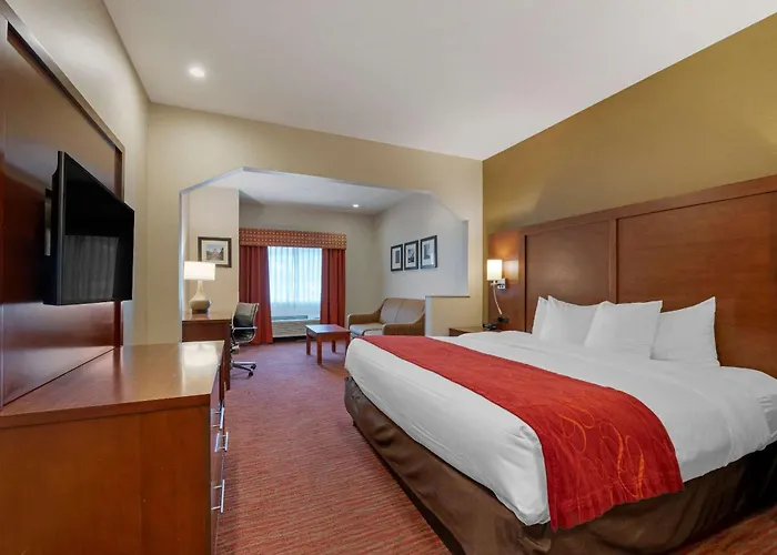 Comfort Expo Center Hotel 4*