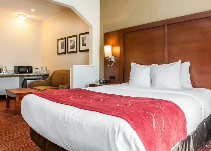 Hotel Comfort Expo Center