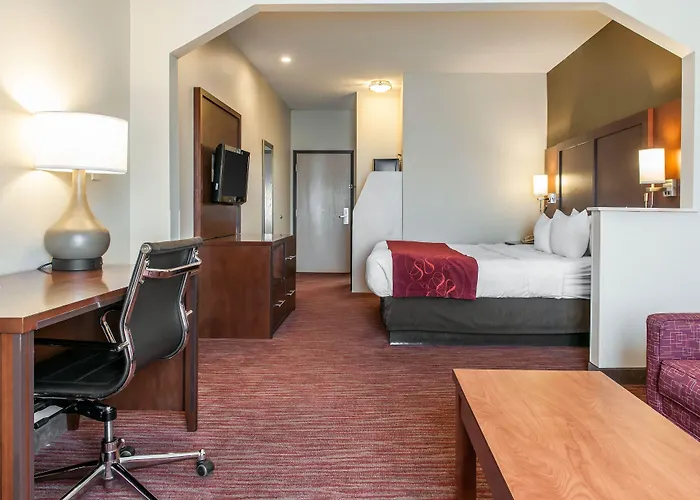 Comfort Expo Center 4*