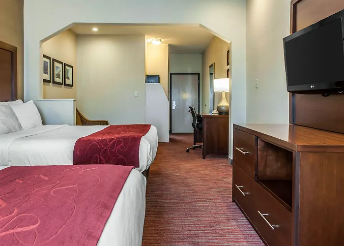 Comfort Expo Center Hotel