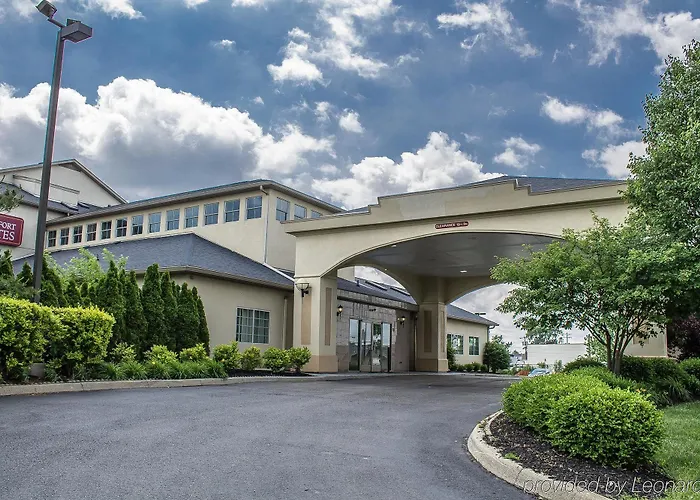 Comfort Expo Center 4*