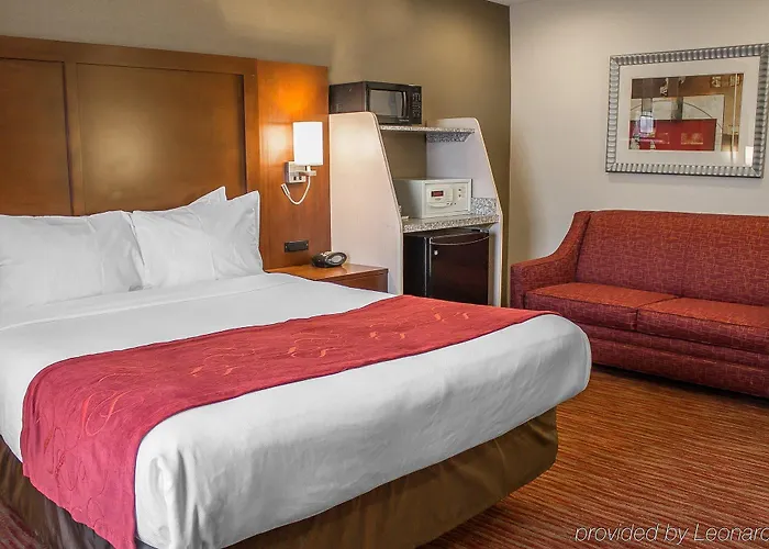 Comfort Expo Center 4*