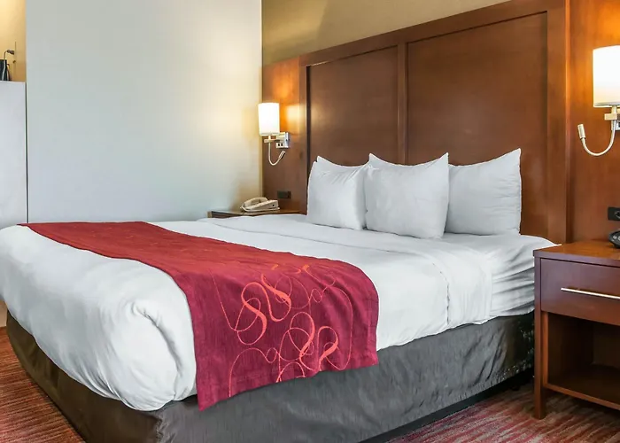 Hotel Comfort Expo Center 4*